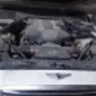 ماكينة جنسس 8سلندر 6  2014