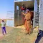 نقل خيل من الرياض الى المدينه المنوره