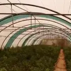 للبيع بيوت محميه مستخدمه بيوت مكيفه وبيوت عاديه