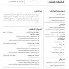 يتوفر عرض سيره ذاتيه احترافيه ب 5 ريال عروض رمزيه للعميل