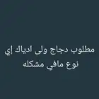 ابغا دجاج