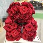 باقات وهدايا