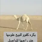 بكره مغتر