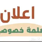معلمة انترناشونال الاحساء