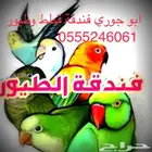 فندقة طيور وقطط 61 60 24 0555 بحي المصيف