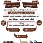 ذبيحتك لباب بيتك   