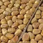 تمر سكري مفتل جديد فاخر( تم البيع )