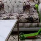 كنب لوجه الله