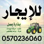 للايجار بذاره بصل