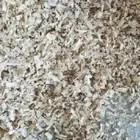 نشاره دواجن درجه ألى وزن الكيس 10كيلو. سعر الكميات الكبيره8