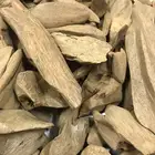 عود طبيعي موروكي اصقون سوبر 