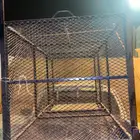 افقاص للحيوانات المؤذيه