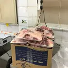 ذبيحه تغليف او مفطح