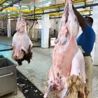 مسلوخ وجاهز