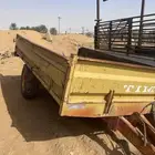 قلوص للبيع
