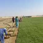 مشاتل التكامل الخضراء 0533351329