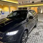 جيلي ازاكارا