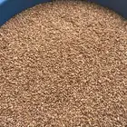 حب بر عضوي
