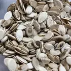 فصفص حب القصب حب الاوليين مكسرات