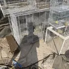 للبيع اقفاص طيور وحامل اقفاص