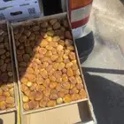 رطب مفتل جلكسي