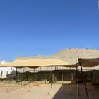 شبوك اغنام جاهزه للإيجار شمال جده