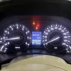 نيسان بلاتينيوم 2013