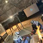 رحلات بالخيل
