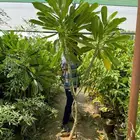مشاتل التكامل الخضراء 0533351329