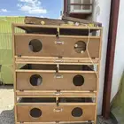 حضانة طيور او شبك طيور