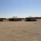 مخيم بالقرب من سوق البل والغنم في عفيف