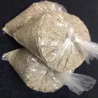 رمل بحر كالسيوم للطيور