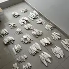 عظم حبار لطيور