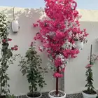 شجر زينه صناعي بجذع طبيعي تفصيل