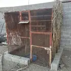 للبيع شبك 2ونص في 2ونص بقلاوه صغير قوي