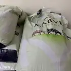 بذور برسيم امريكي