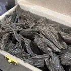 عود كلمنتان