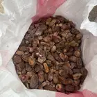تمر نفيع