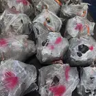 جيربكسات مستورده اسعار ترضي الحميع ان شاء الله