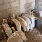 غسالات نظيفه جدا