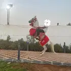 خيل ركوب بالساعه وتدريب