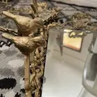 صحون مباشره العدد 4
