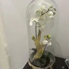 مجسم زجاج تحف ديكور منزلية