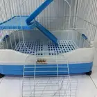 اعرض قط حديده