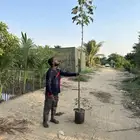 مشتل بجدة بيع بأقل الاسعار للكميات فقط