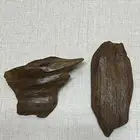 مروكي اصقون تربل
