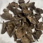 عودطبيعي بورمي درجه اولىومليء بالدهن قديم متوفر كميات
