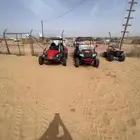 2 بقي للبيع
