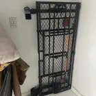 حماله شناط للجيوب