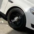 جنوط بوليسي